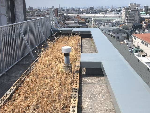 東京都江戸川区河内のマンション屋上植栽・残土撤去処分前の様子です。